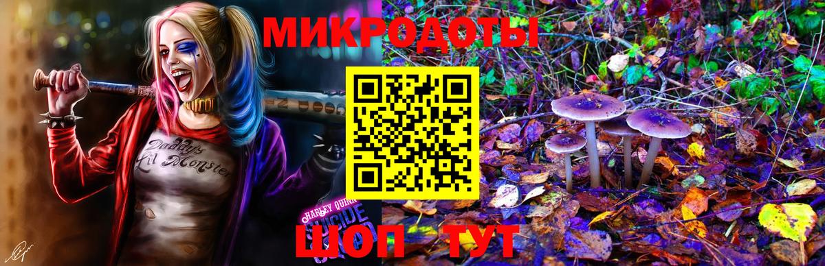 Псилоцибиновые грибы Psilocybine cubensis Бузулук