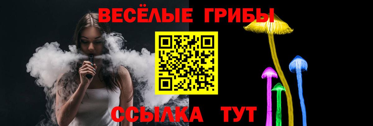Галлюциногенные грибы Psilocybine cubensis  Вход с VPN  Бузулук 